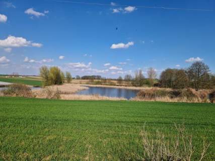 Staw - działka rolna 5,24 ha z pięknym stawem
