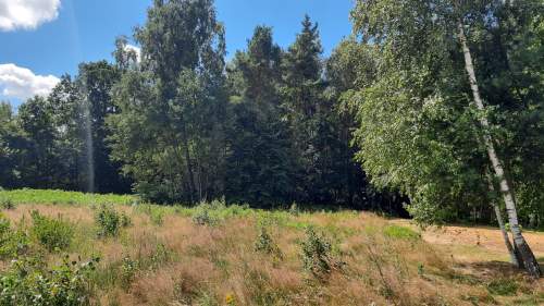 10 a budowlana Zendek, gm. Ożarowice