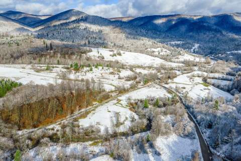 6,86 Ha na sprzedaż Żubracze