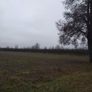 Ziemia inwestycyjna rolno/budowlana 2,02 ha przy trasie K48