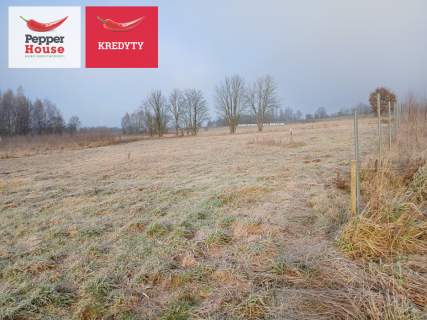 Działka budowlana na sprzedaż, 1065 m2, Kolonia
