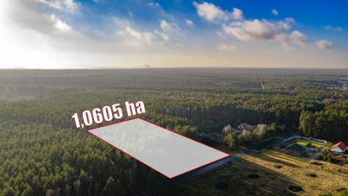 Duża Działka Budowlana Z Prywatnym Lasem, Koty