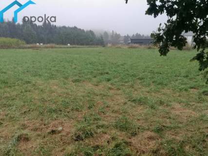 Działka usługowa 3121 m2 Leszna Górna
