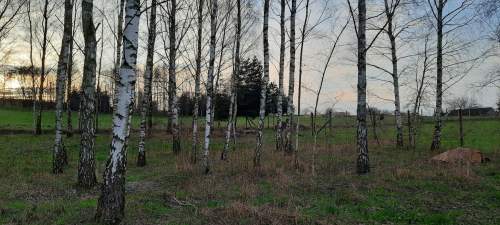 Budowlane 10 a koło lasku Toporowice gm. Mierzęcice