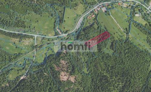 6,86 Ha na sprzedaż Żubracze