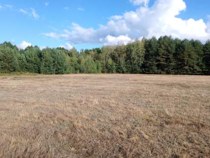 Działki budowlane 1200 m2, Wydane warunki zabudowy