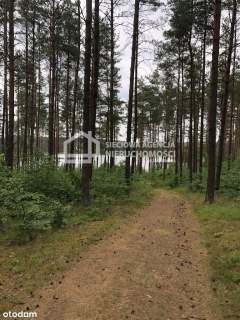 Urokliwa działka niedaleko jeziora Niesiołowice