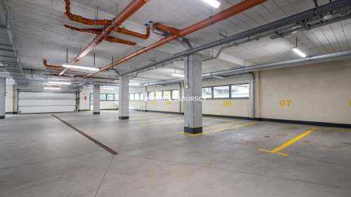 Lokal okolica Galerii krakowskiej - parter
