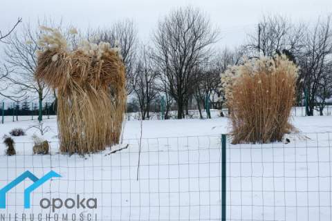 Duża działka w Cieszynie
