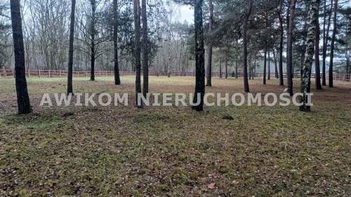 Działka budowlana na sprzedaż, 3975 m2, Puszcza Mariańska