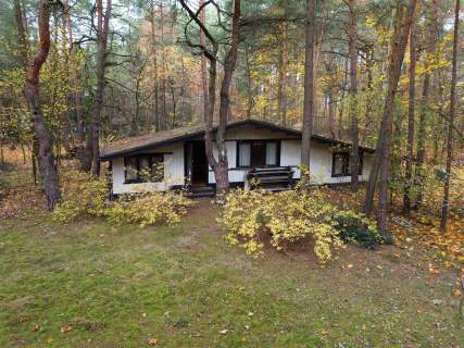 Działka budowlano- leśna Władysławów, gm. Miedźno