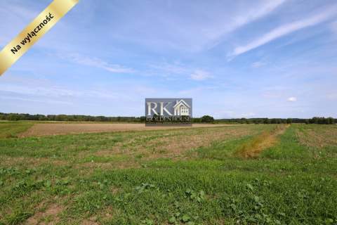 Działka rolna 0.43 ha Dobrzanów gm. Skórzec
