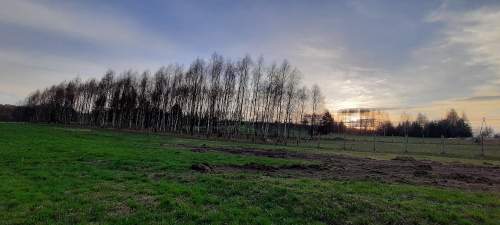 Budowlane 10 a koło lasku Toporowice gm. Mierzęcice
