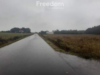 Idealna działka z warunkami zabudowy w Romanowie