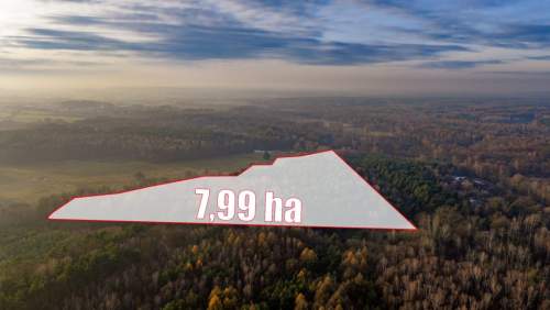 Działka Premium z prywatny lasem - 7,99ha