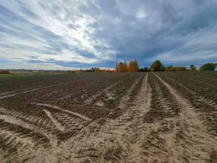 Szczodrkowice, gmina Skała, 59 arów, bud-rolne