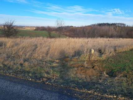 Skała, okolice Ojcowa/Krakowa. Dz. 15,4 a, rolna