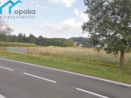 Działka usługowa 3121 m2 Leszna Górna