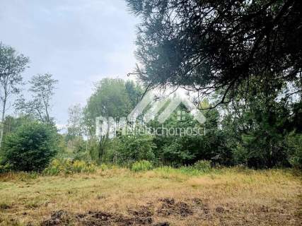 Budowlana 2800m2, Radonie, super lokalizacja