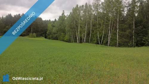 Mazury Stare Juchy działki 3000m2 w okolicach jeziora Garbas...