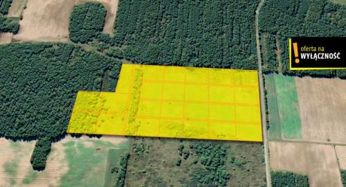 Ziemia inwestycyjna 11,2 ha gmina Piekoszów