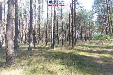 działki na sprzedaż w Rosku gmina Wieleń