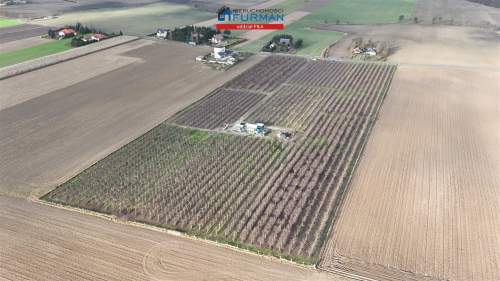 Działka na sprzedaż, 4126 m2, Podanin