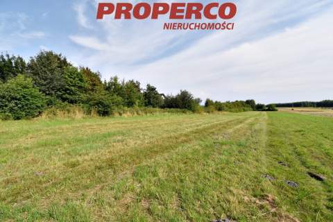 Działka pod Kielcami z MPZP, 9051 m2, Radlin,Górno