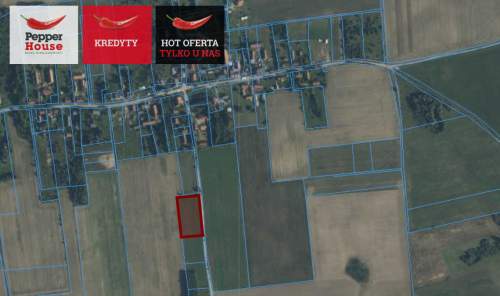 5000m2 w spokojnej miejscowości