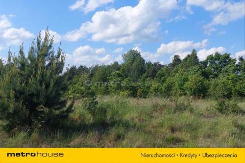 Działka inwestycyjna w Lubiczu Dolnym 4600 m2.