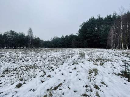 WZ Media Droga gminna Prostokąt Zalew w Ra