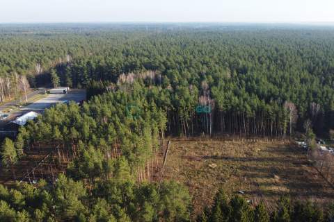 PRZECENA - 53 tys Działka przy lesie i WZ