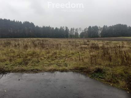 Idealna działka z warunkami zabudowy w Romanowie