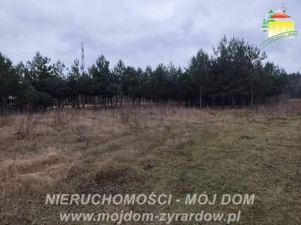 Przestronny, nowoczesny dom w stanie deeloperskim.