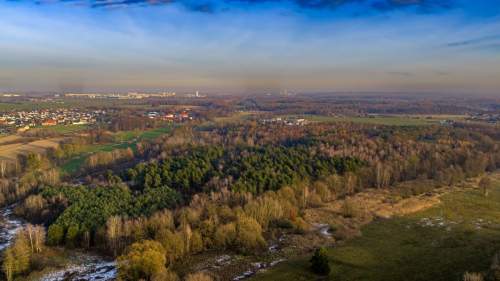 Działka Premium z prywatny lasem - 7,99ha