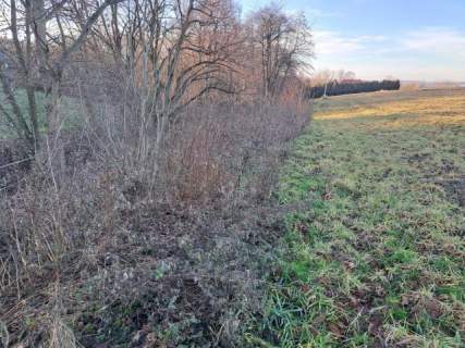 Iwanowice/Sułkowice, okolice Krakowa, 1 ha, budowlane