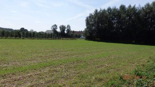 Sprzedam działkę budowlano-Uslugową z Warunkami Zabudowy