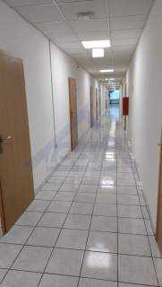 Biuro do wynajęcia Bielany