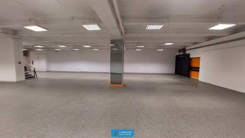 Lokal handlowy usługowy centrum Łodzi