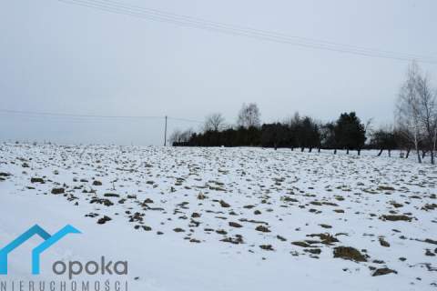 Duża działka w Cieszynie