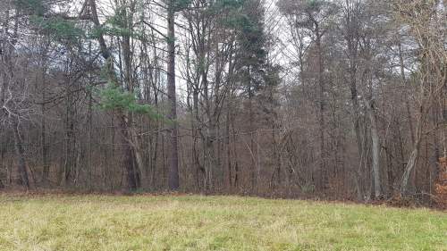 Uzbrojona działka widokowa w Bieszczadach - 3 min od Soliny