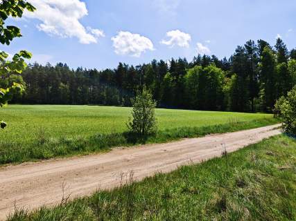 Działki budowlane, las,Mazury, Warunki Zabudowy, Dom do 120m