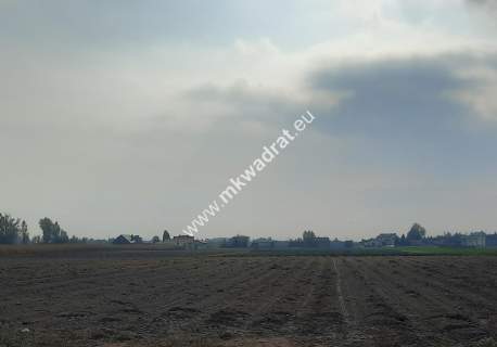 Znakomita działka pod produkcję