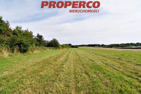 Działka pod Kielcami z MPZP, 9051 m2, Radlin,Górno