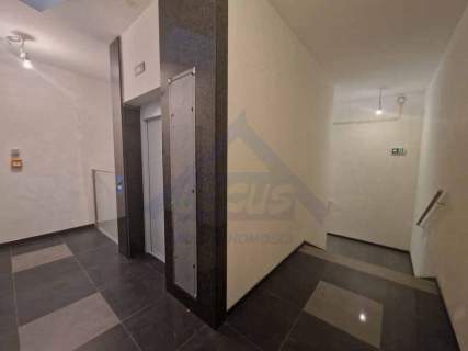 Lokal 500 m2 Piaseczno do wynajęcia.