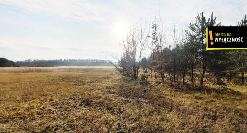 Działka blisko lasu.
