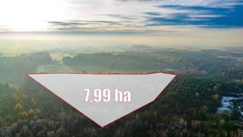 Działka Premium z prywatny lasem - 7,99ha