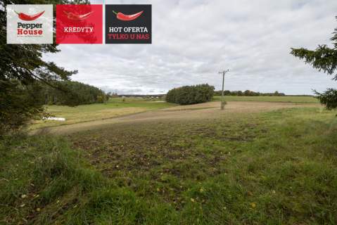 działka blisko lasu z WZ