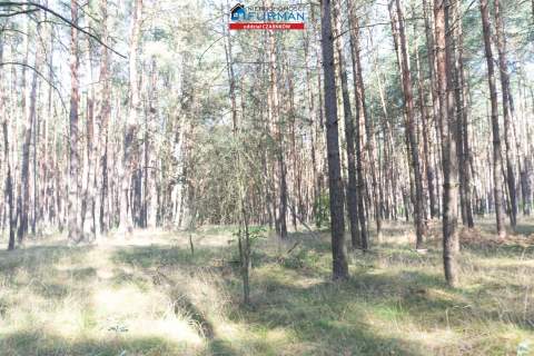 działki na sprzedaż w Rosku gmina Wieleń