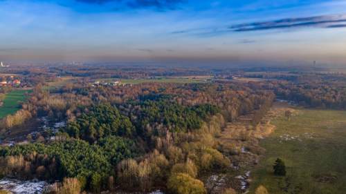 Działka Premium z prywatny lasem - 7,99ha